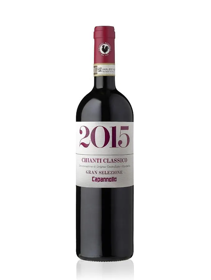 Capannelle Wine Resort 카이오레인챠안티