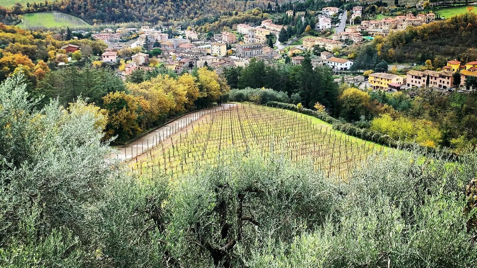 Capannelle Wine Resort 카이오레인챠안티