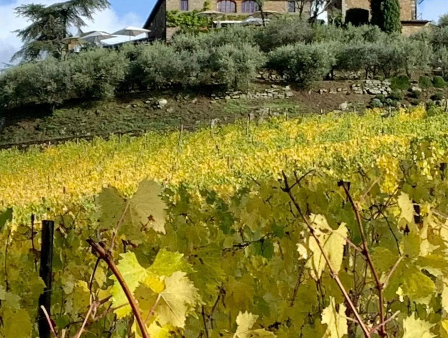 Capannelle Wine Resort 카이오레인챠안티 0*,  이탈리아