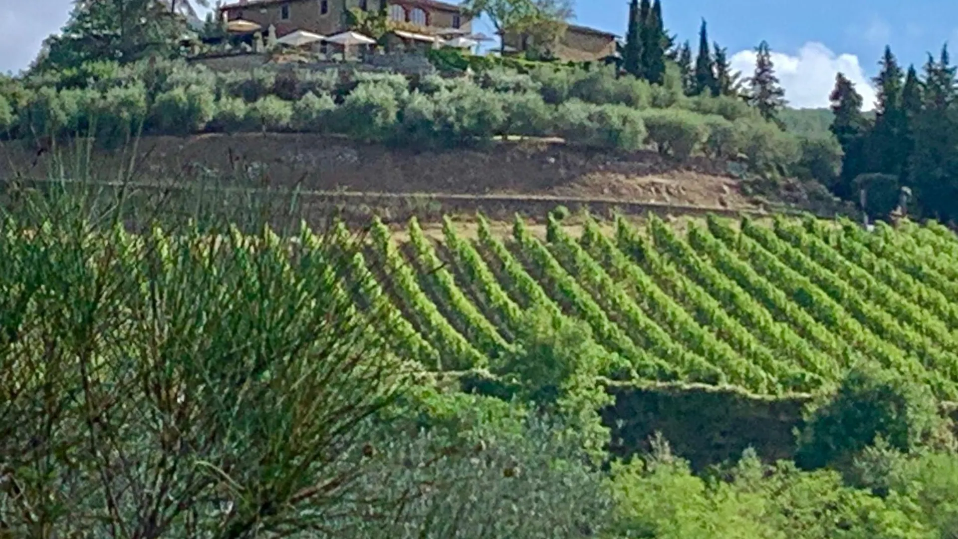 Capannelle Wine Resort 카이오레인챠안티 컨트리하우스
