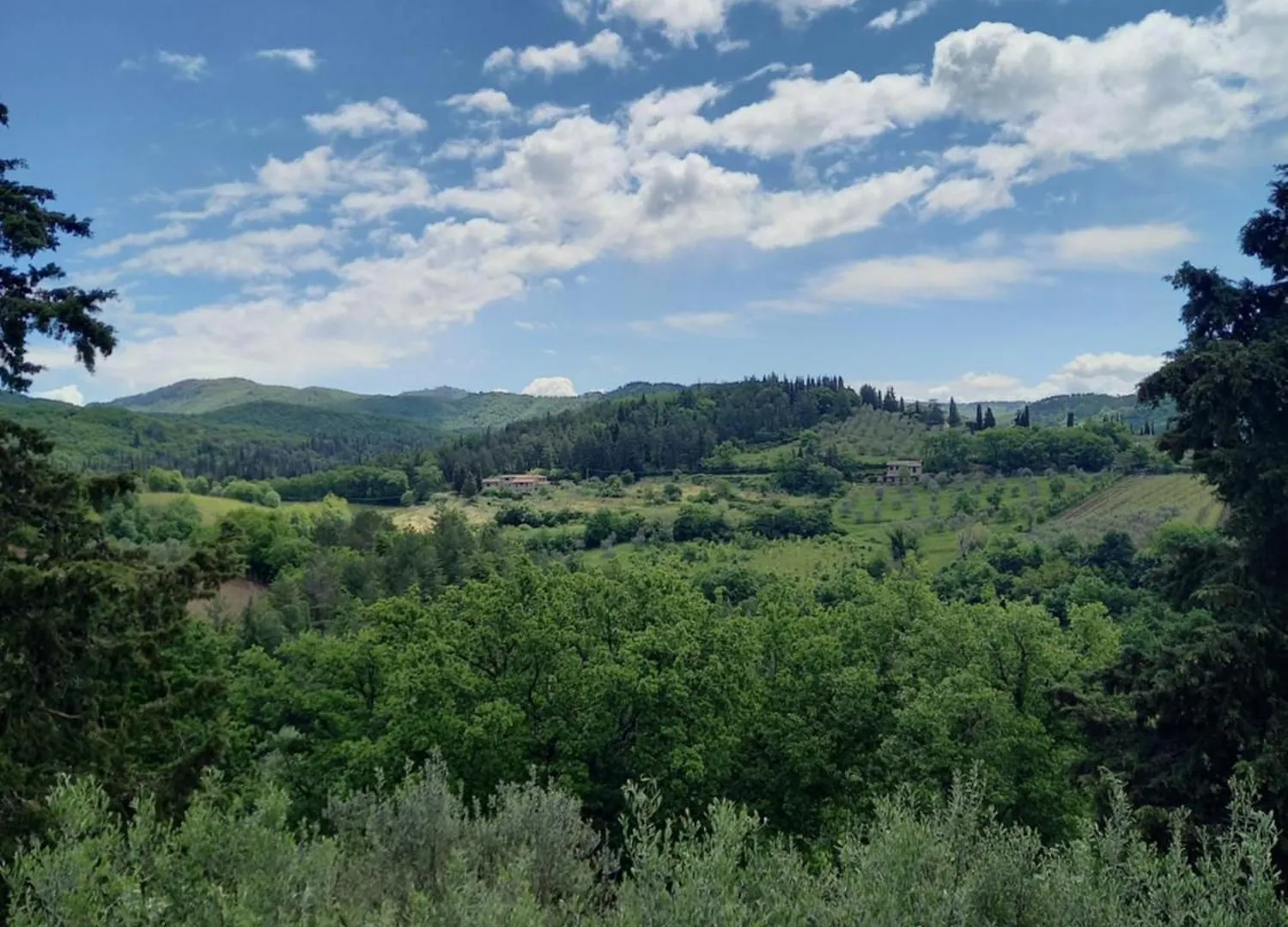 Capannelle Wine Resort Гайоле-ин-Кьянти